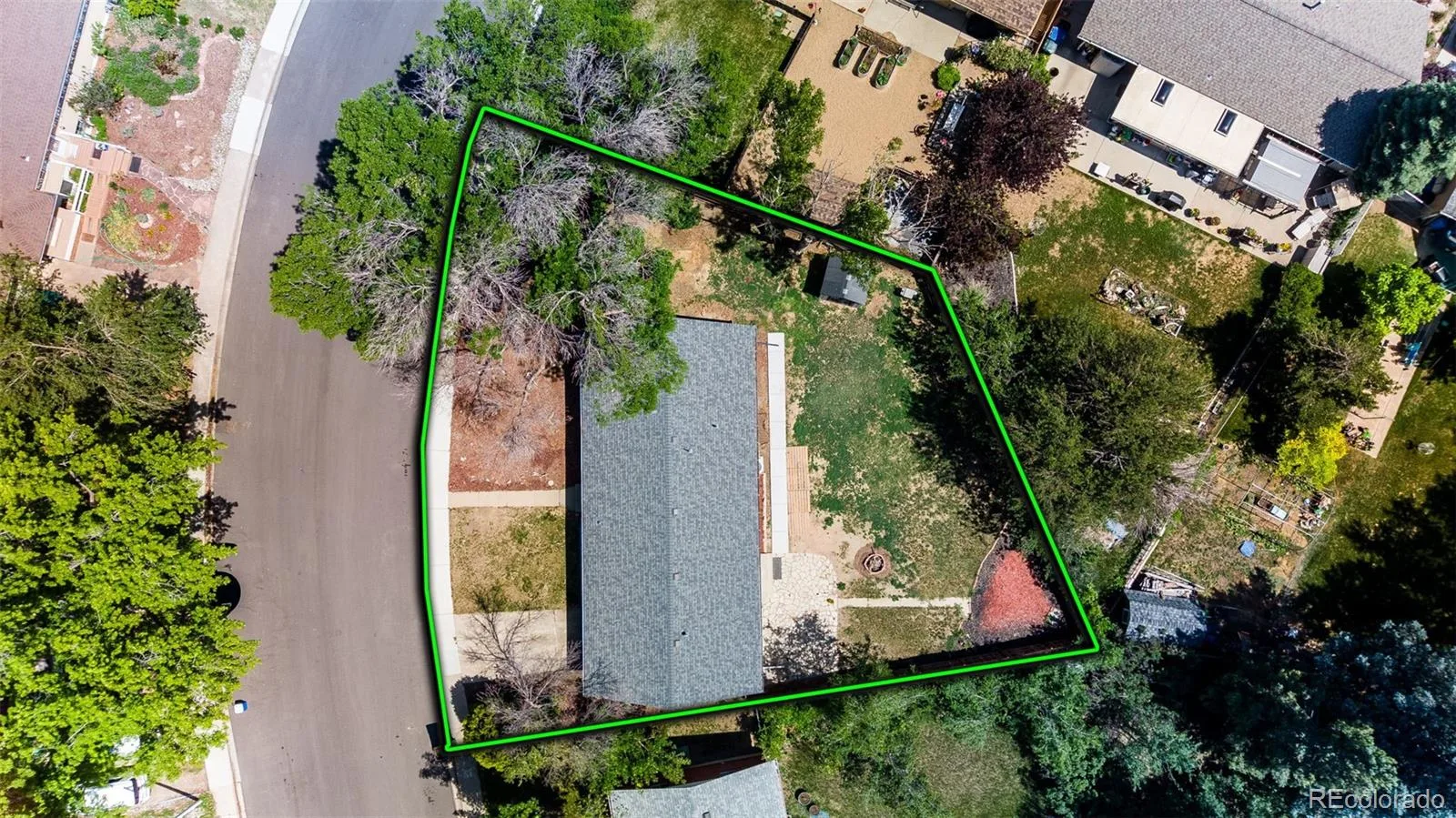 1742 Countess Court Longmont CO 80501 MLS #REC8353329 06132026073204 1600 33