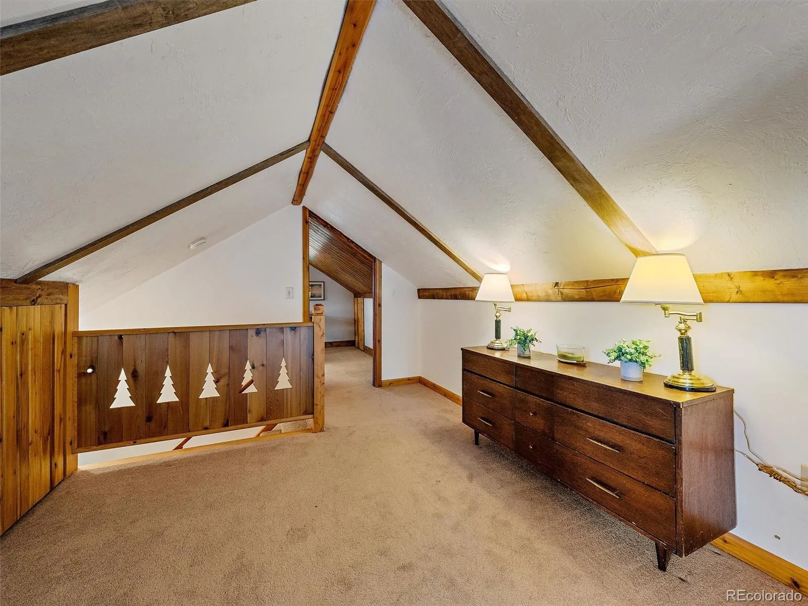 1406 Sinton Road Evergreen CO 80439 | MLS #REC8357364 06092026155525 1600 27