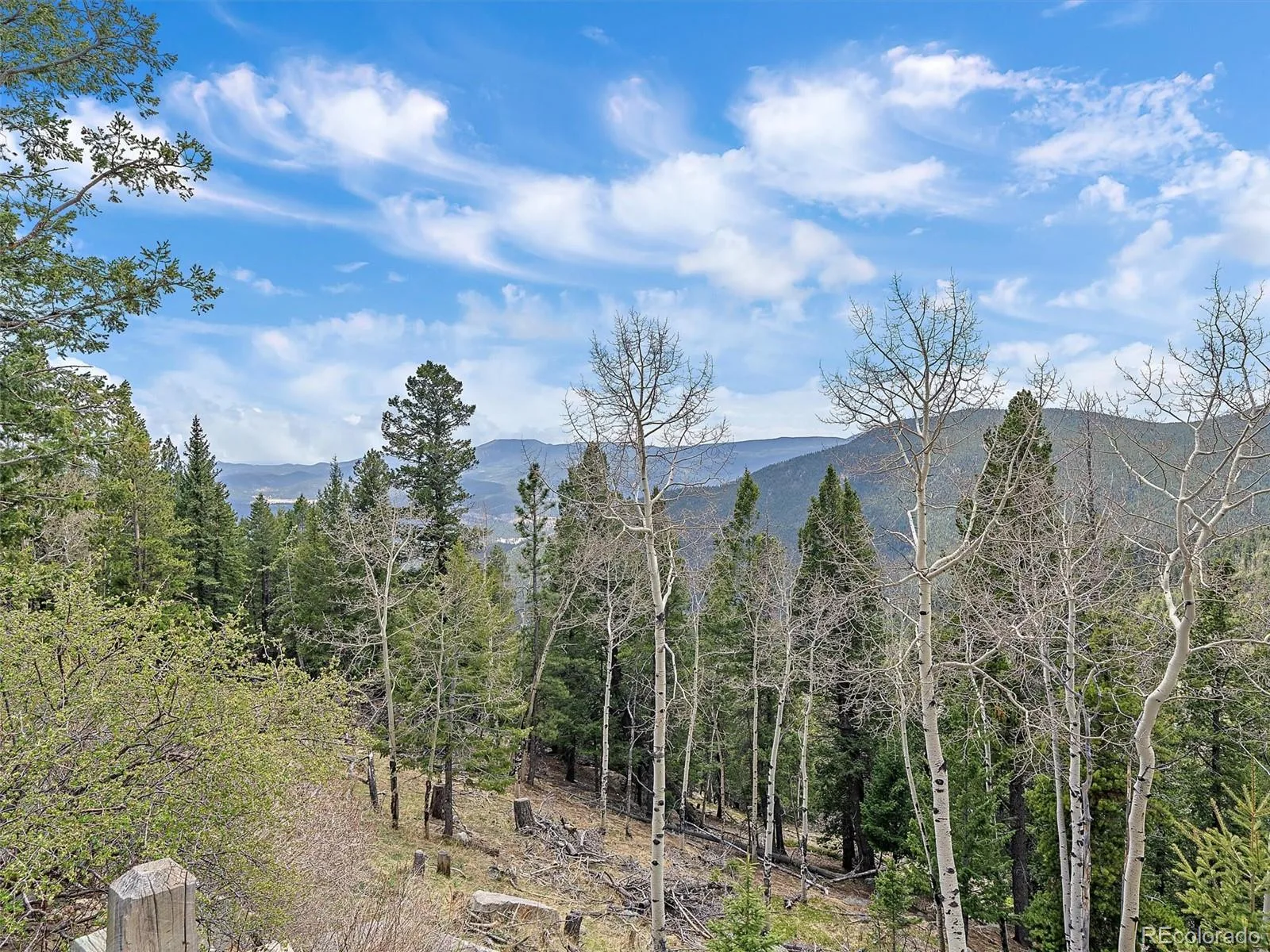 1406 Sinton Road Evergreen CO 80439 | MLS #REC8357364 06092026155525 1600 39