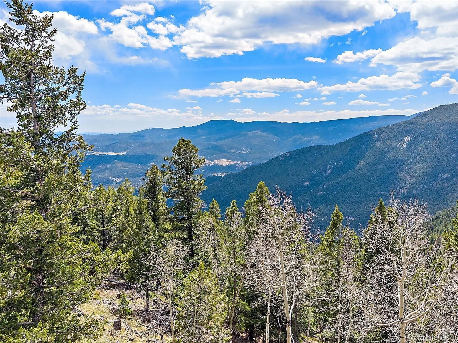 1406 Sinton Road Evergreen CO 80439 | MLS #REC8357364 06092026155525 1600 40