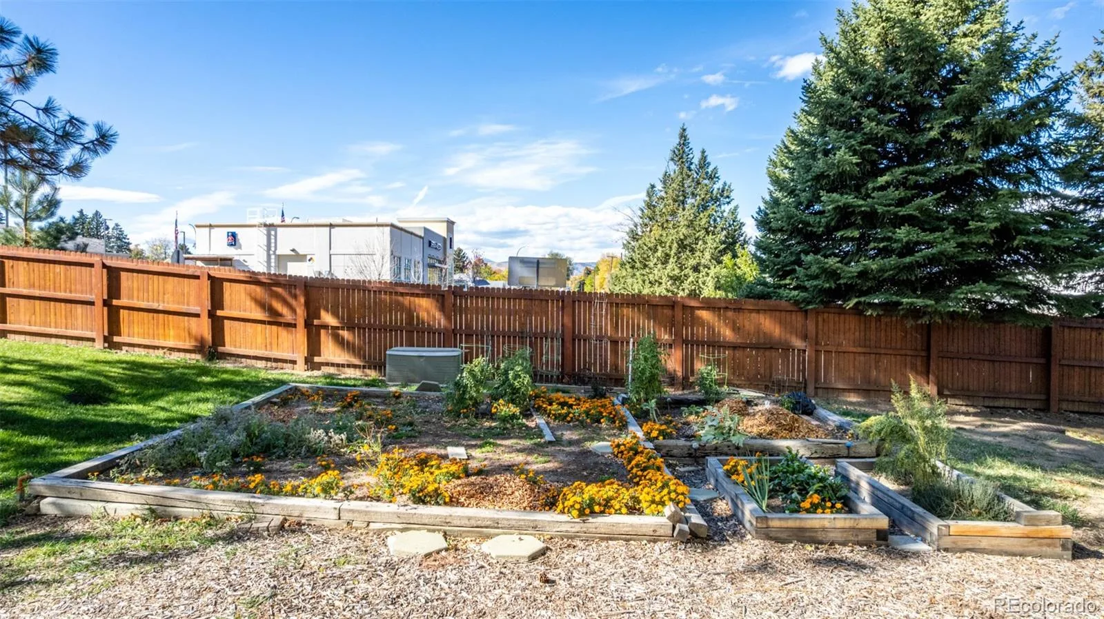 7466 W Cedar Circle Lakewood CO 80226 | MLS #REC8359967 08292026213633 1600 39