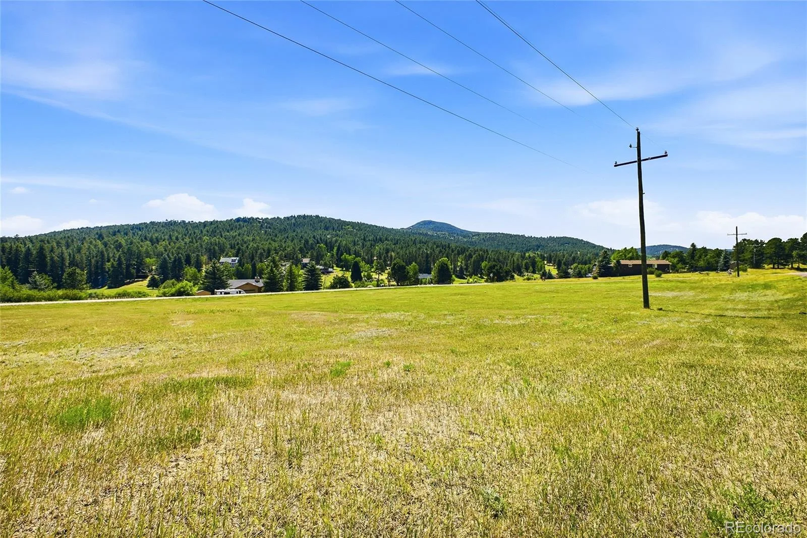 7665 Malamute Drive Evergreen CO 80439 | MLS #REC8362793 07242026145031 1600 20