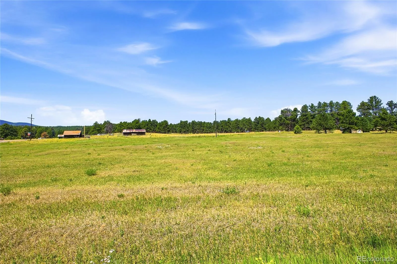 7665 Malamute Drive Evergreen CO 80439 | MLS #REC8362793 07242026145031 1600 21