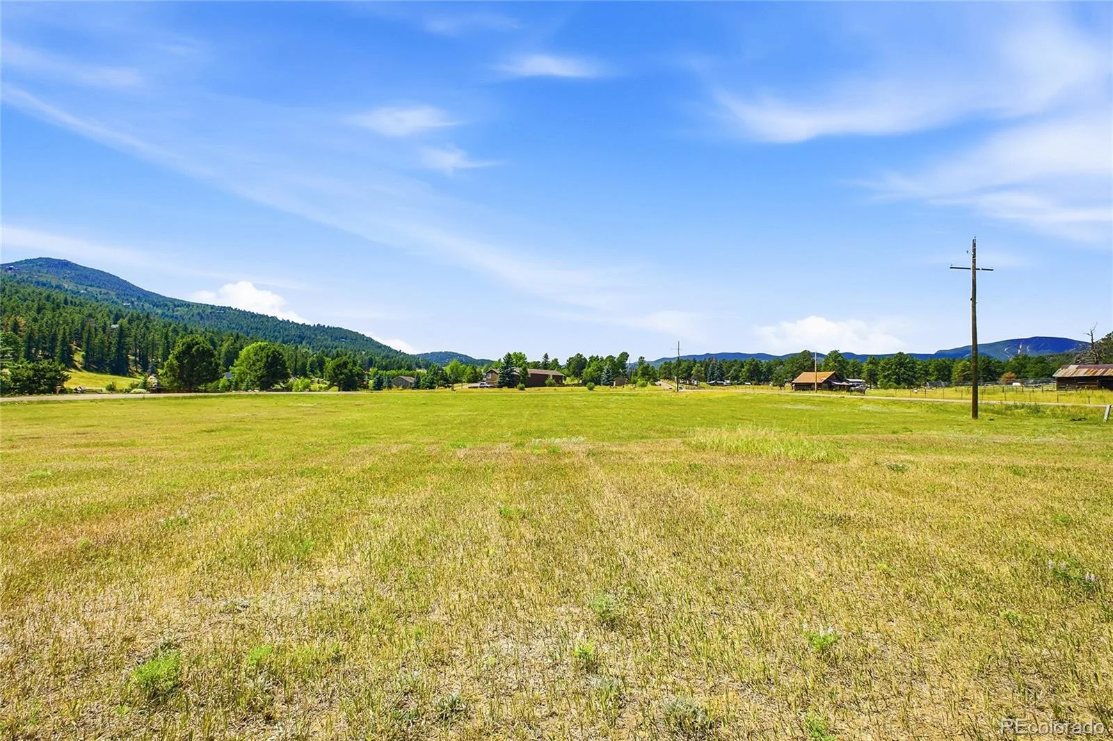 7665 Malamute Drive Evergreen CO 80439 | MLS #REC8362793 07242026145031 1600 22