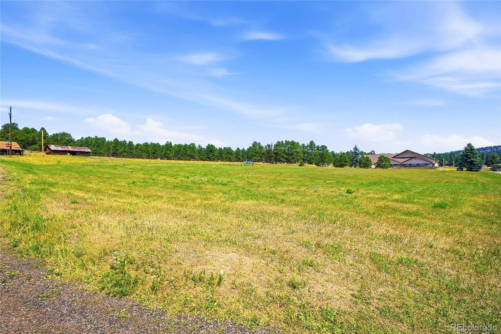 7665 Malamute Drive Evergreen CO 80439 | MLS #REC8362793 07242026145031 1600 24