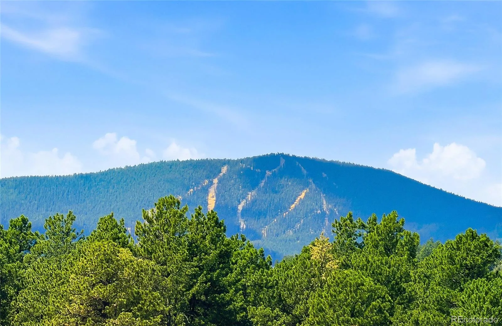 7665 Malamute Drive Evergreen CO 80439 | MLS #REC8362793 07242026145031 1600 4