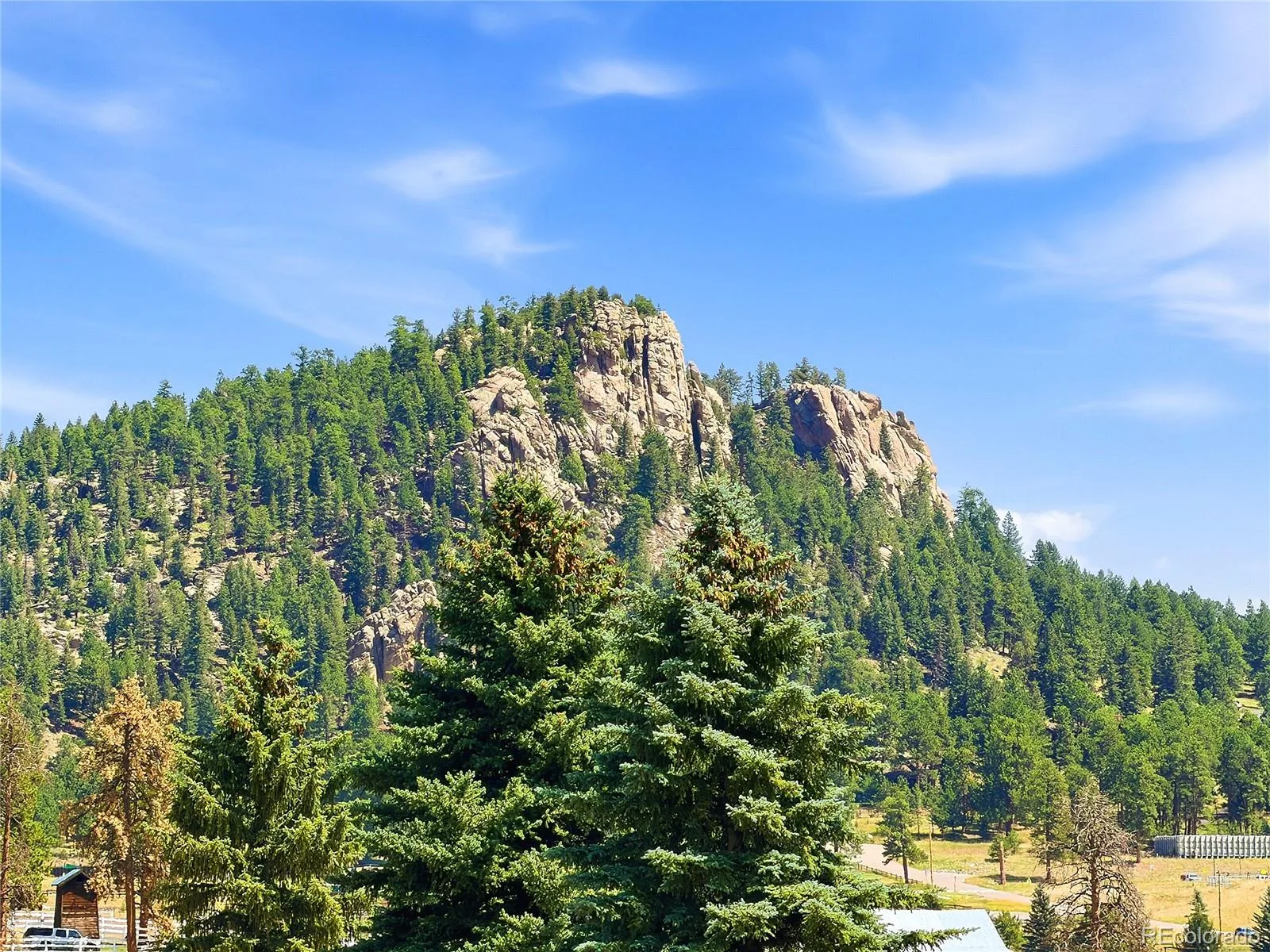 7665 Malamute Drive Evergreen CO 80439 | MLS #REC8362793 07242026145031 1600 8