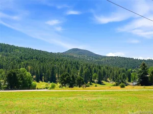 7665 Malamute Drive Evergreen CO 80439 | MLS #REC8362793 07242026145031 300 0