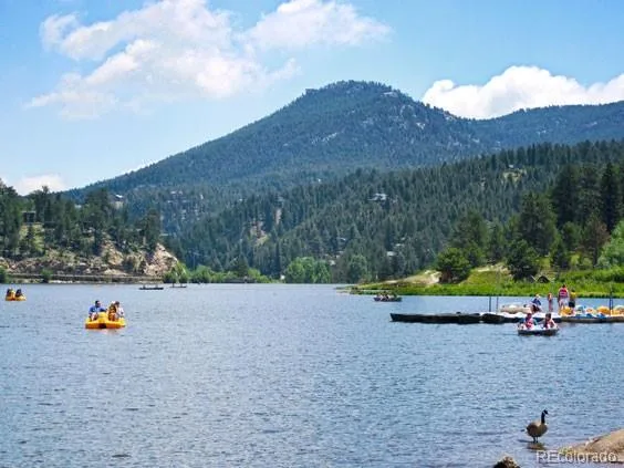7665 Malamute Drive Evergreen CO 80439 | MLS #REC8362793 07242026145031 564 32