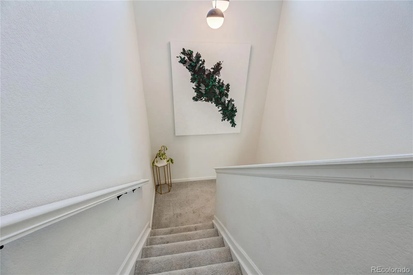 8924 Red Bud Street Parker CO 80134 | MLS #REC8365516 08122026190931 1600 31