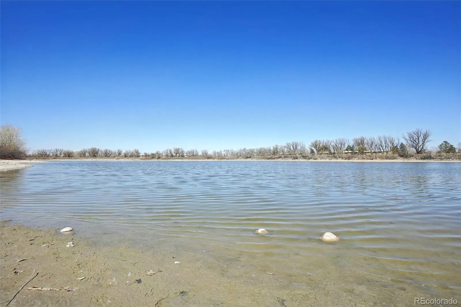 04142026014920 1600 40