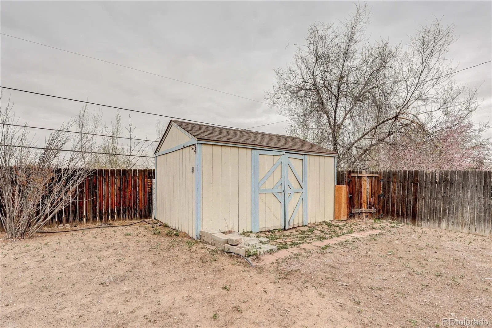 03302026182349 1600 40