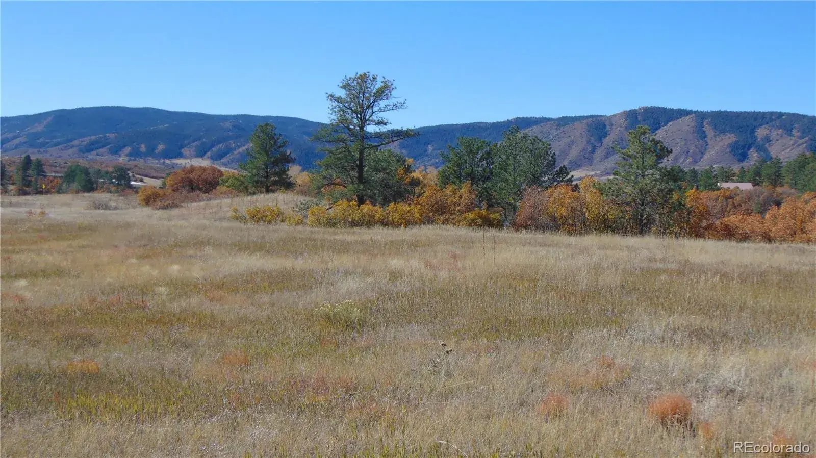 4771 Jackson Creek Road Sedalia CO 80135 | MLS #REC8390006 11252025171003 1600 10