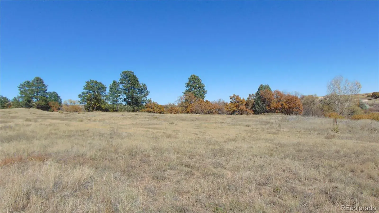 4771 Jackson Creek Road Sedalia CO 80135 | MLS #REC8390006 11252025171003 1600 2