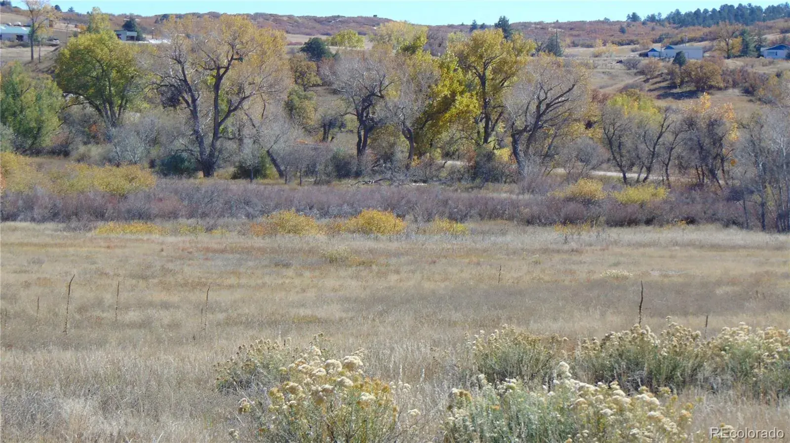 4771 Jackson Creek Road Sedalia CO 80135 | MLS #REC8390006 11252025171003 1600 5