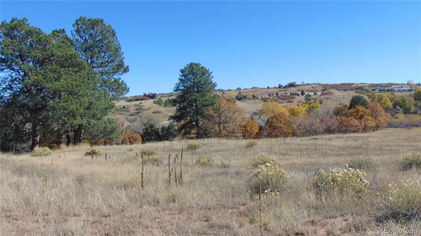 4771 Jackson Creek Road Sedalia CO 80135 | MLS #REC8390006 11252025171003 1600 6