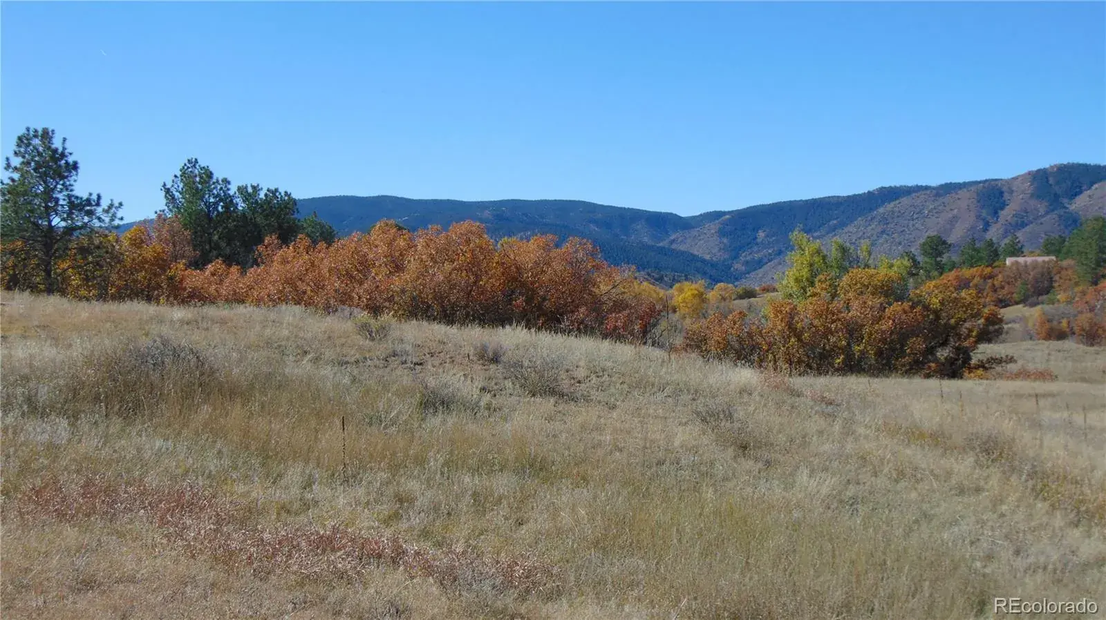 4771 Jackson Creek Road Sedalia CO 80135 | MLS #REC8390006 11252025171003 1600 7