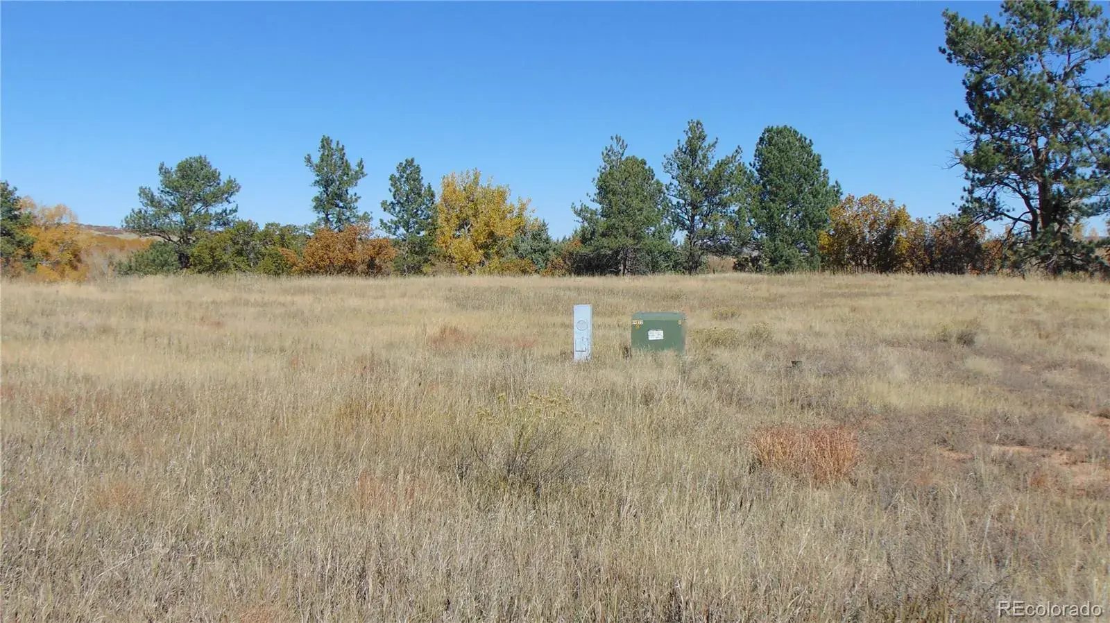 4771 Jackson Creek Road Sedalia CO 80135 | MLS #REC8390006 11252025171003 1600 8