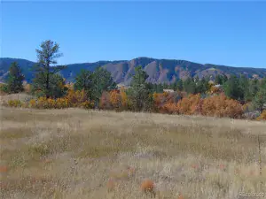 4771 Jackson Creek Road Sedalia CO 80135 | MLS #REC8390006 11252025171003 300 0