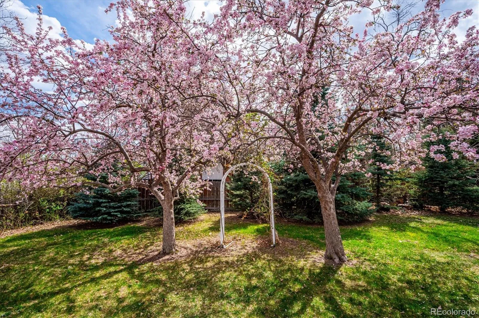 04072026190709 1600 29