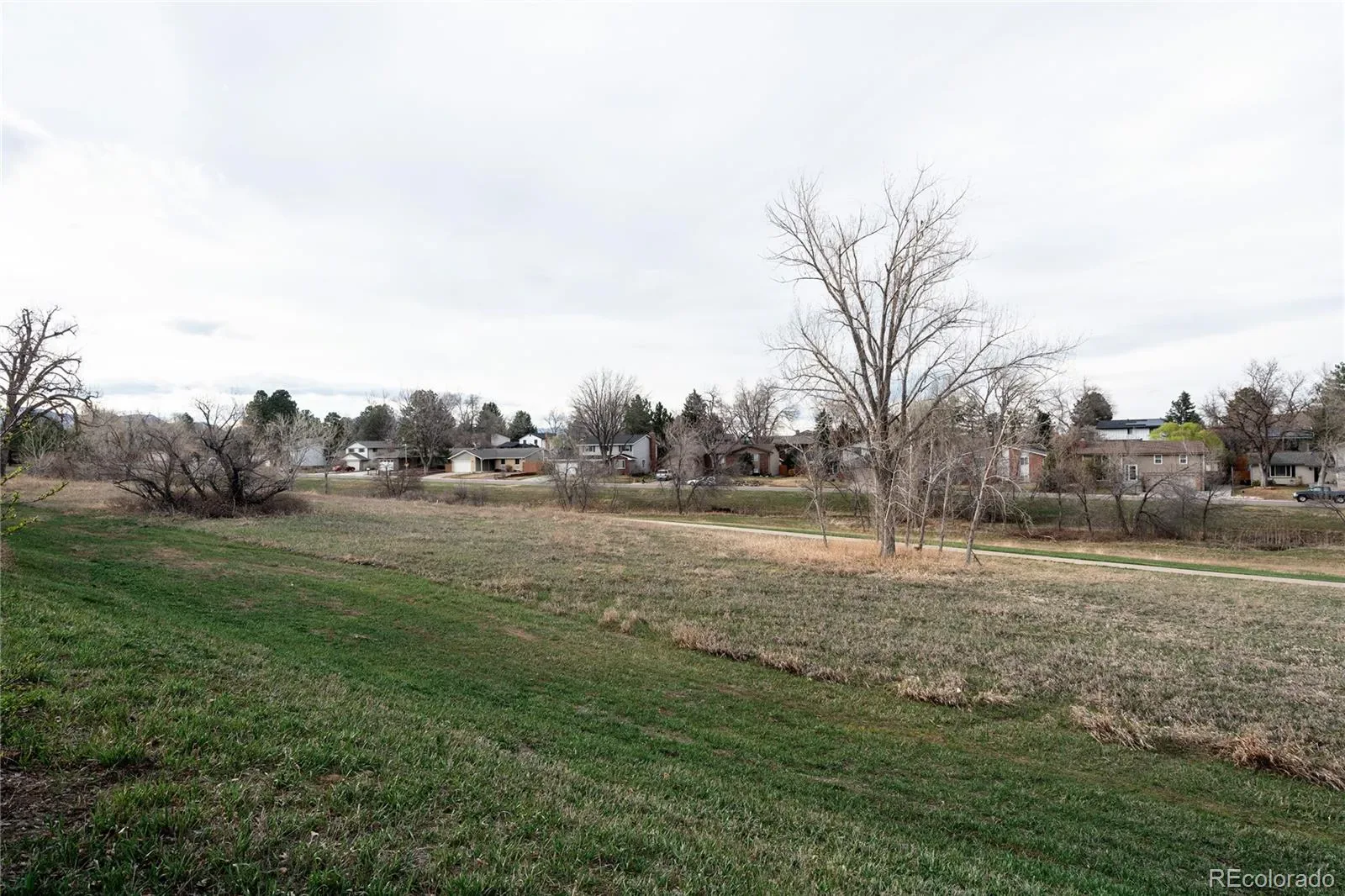 03282026004431 1600 29