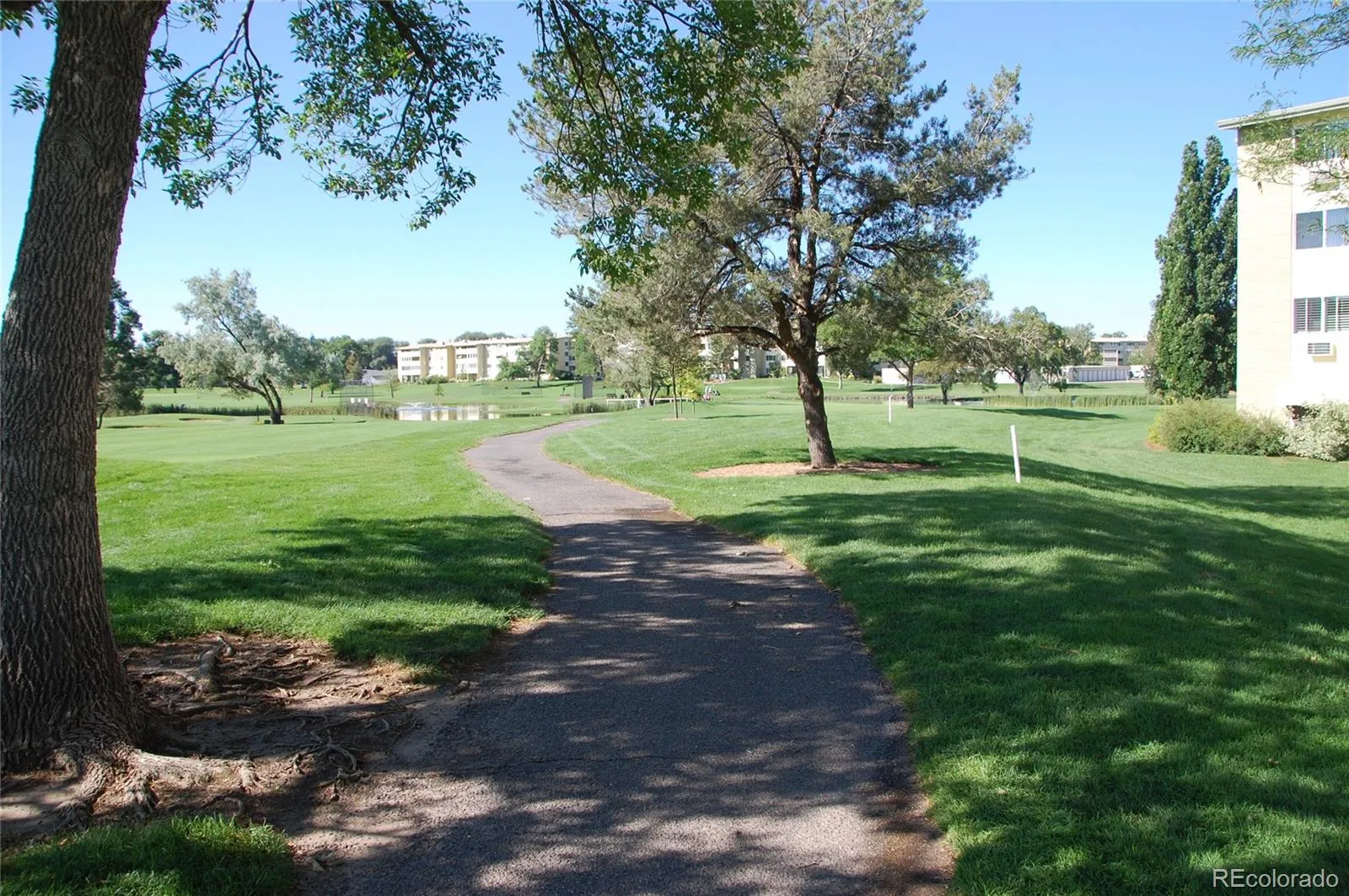 9360 E Center Avenue # 10A Denver CO 80247 MLS #REC8413523 05222026222558 1600 18