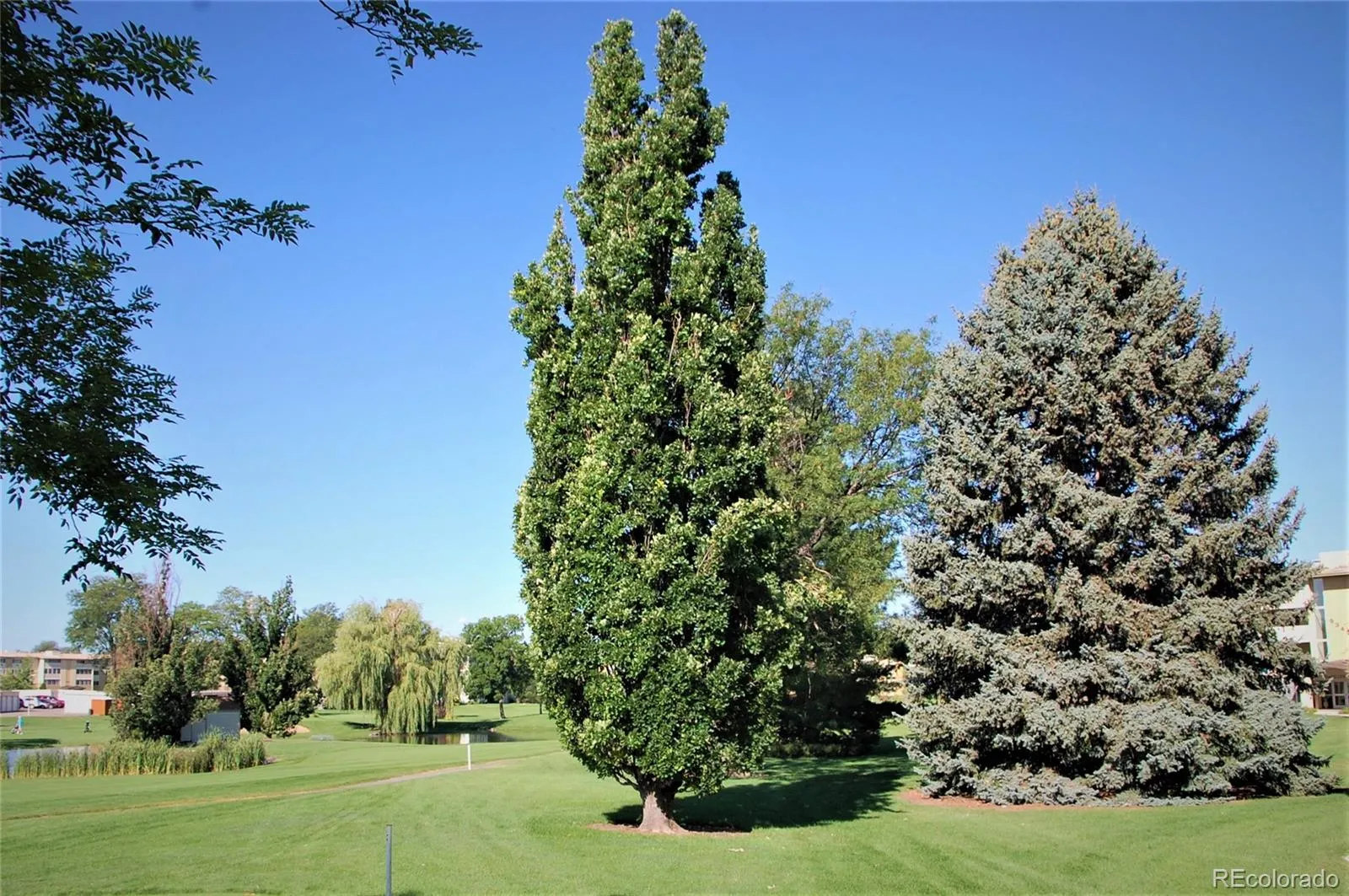 9360 E Center Avenue # 10A Denver CO 80247 MLS #REC8413523 05222026222558 1600 20