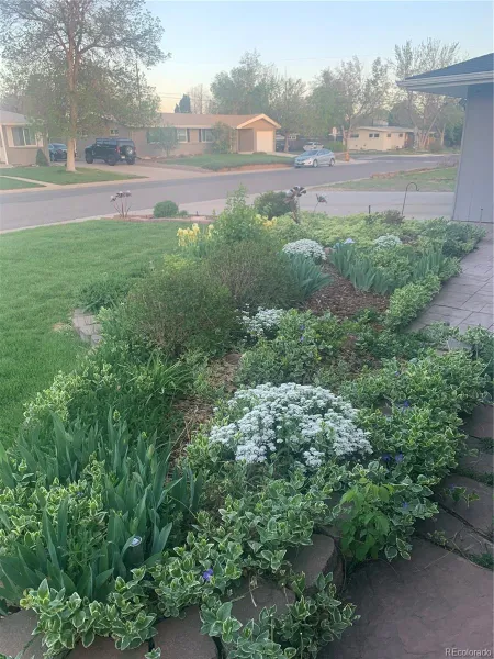 04162026023840 800 45