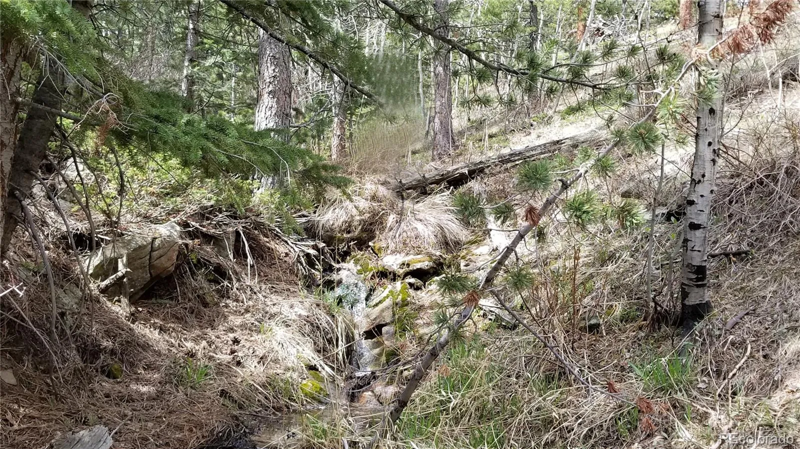32778 Janelle Lane Golden CO 80403 | MLS #REC8423103 04162026203712 1600 5