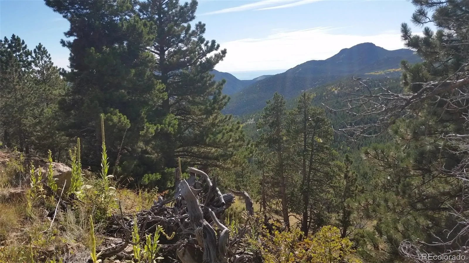 32778 Janelle Lane Golden CO 80403 | MLS #REC8423103 04162026203712 1600 6
