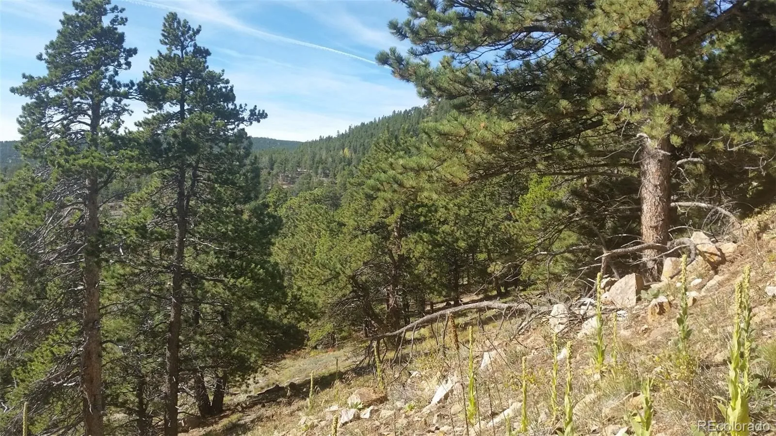 32778 Janelle Lane Golden CO 80403 | MLS #REC8423103 04162026203712 1600 7