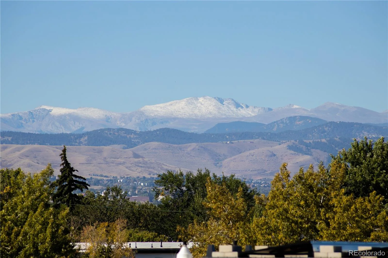 2728 Grove Street #1 Denver CO 80211 | MLS #REC8428444 10062026213916 1600 11