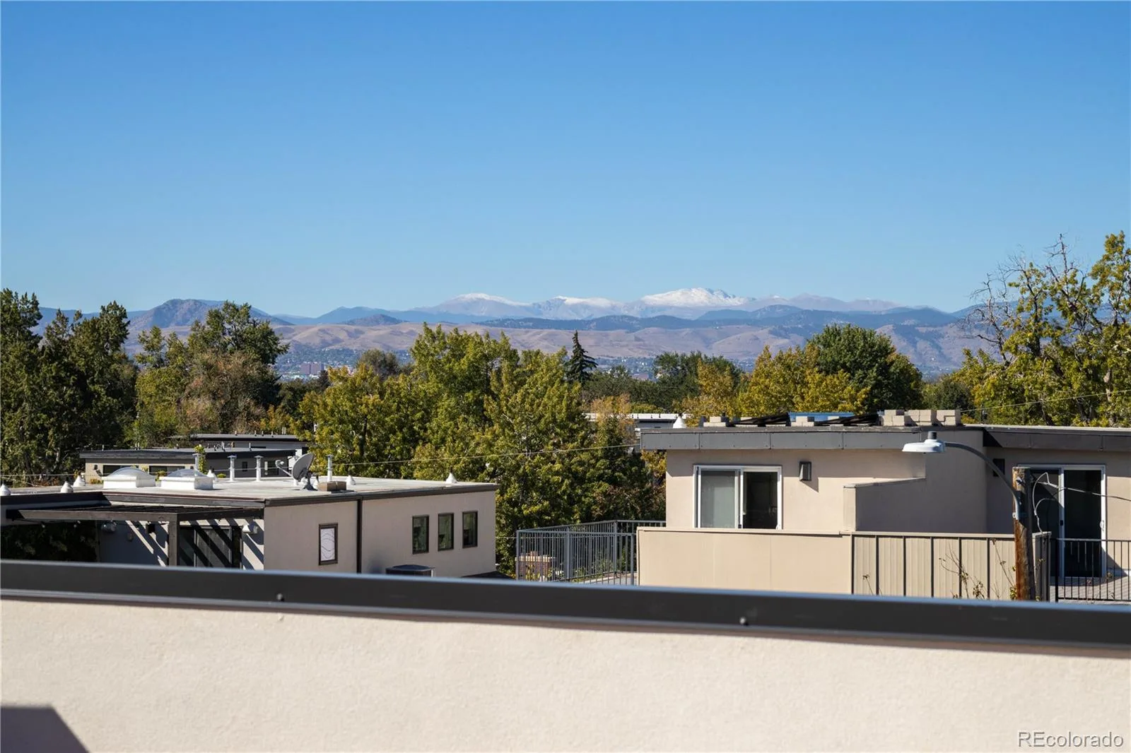 2728 Grove Street #1 Denver CO 80211 | MLS #REC8428444 10062026213916 1600 12