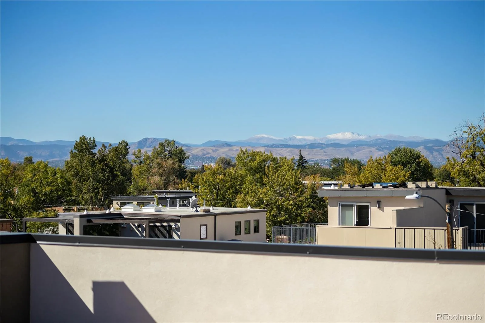 2728 Grove Street #1 Denver CO 80211 | MLS #REC8428444 10062026213916 1600 5