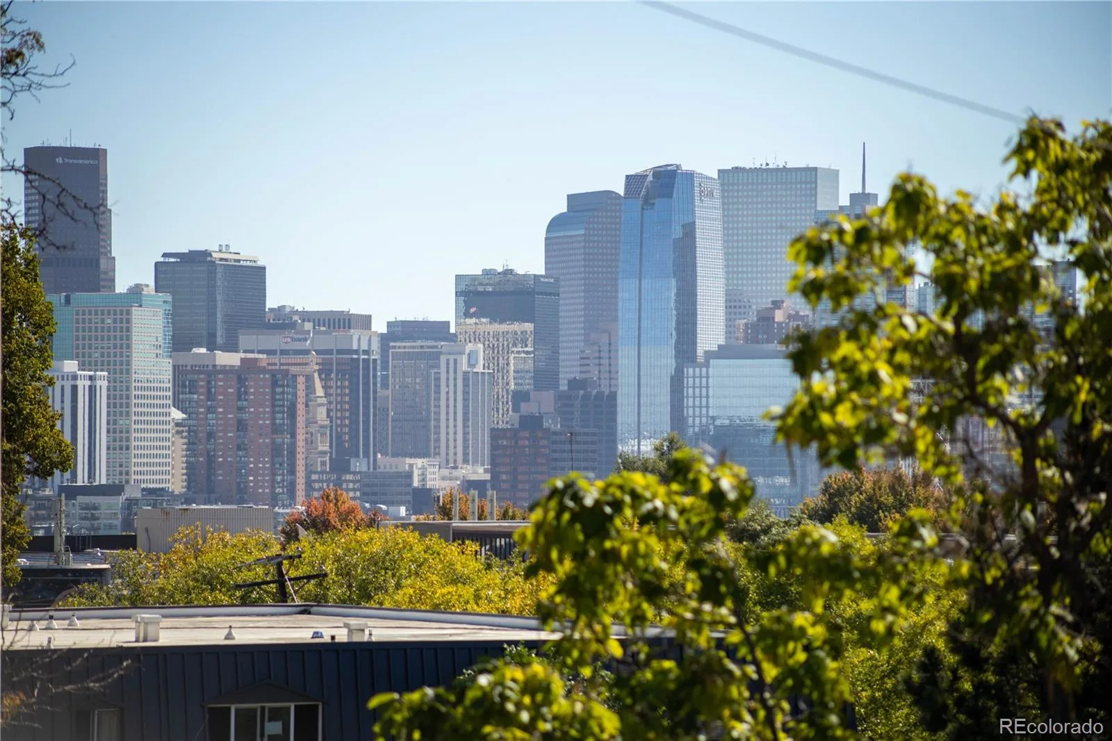 2728 Grove Street #1 Denver CO 80211 | MLS #REC8428444 10062026213916 1600 7