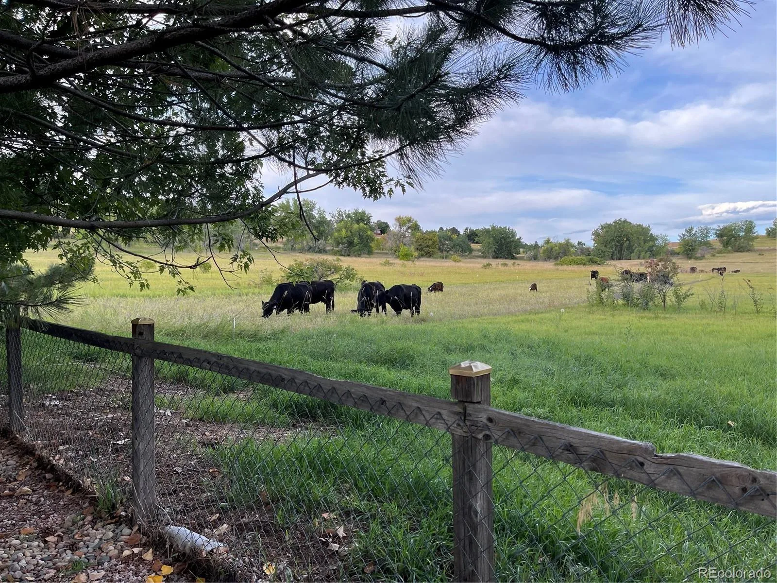 2285 Cliffrose Lane Louisville CO 80027 | MLS #REC8432166 08142026063203 1600 28