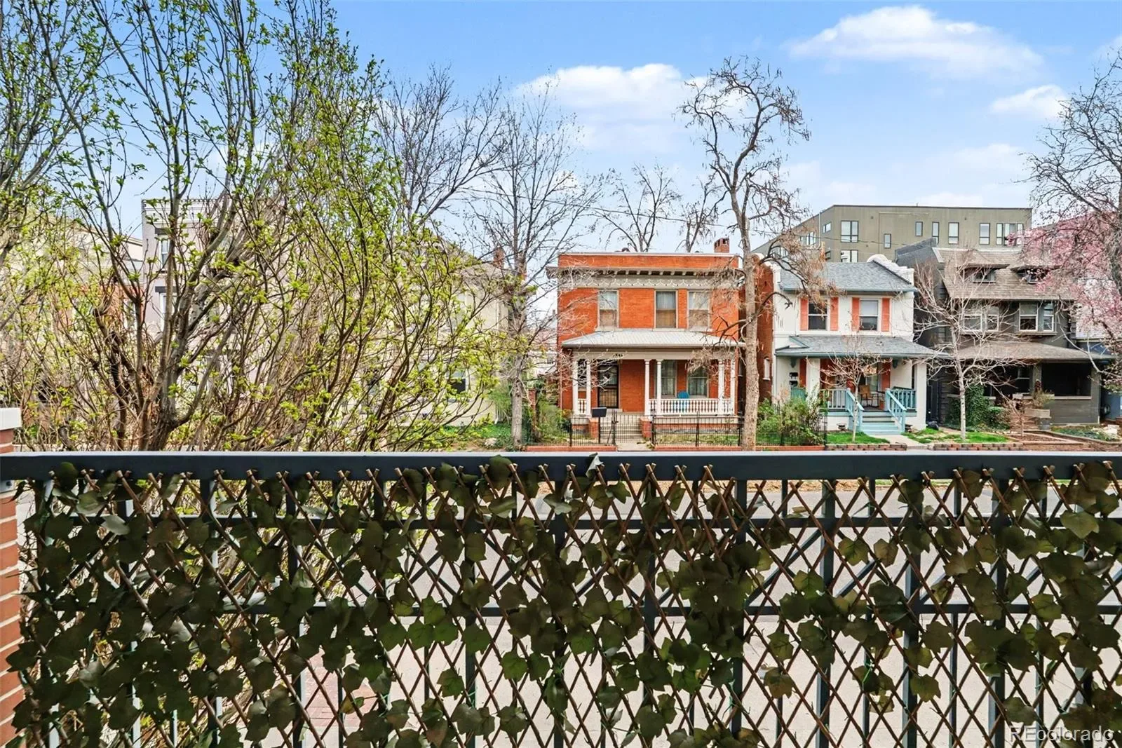 03262026161806 1600 21