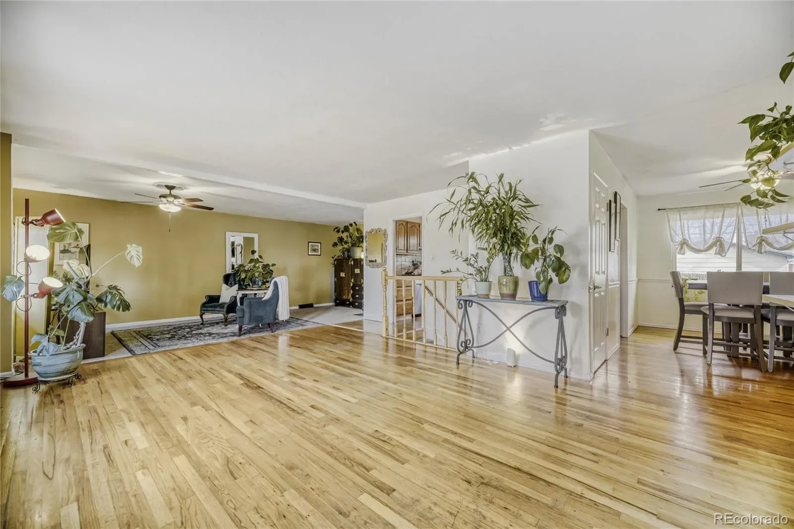 03232026174026 1600 3