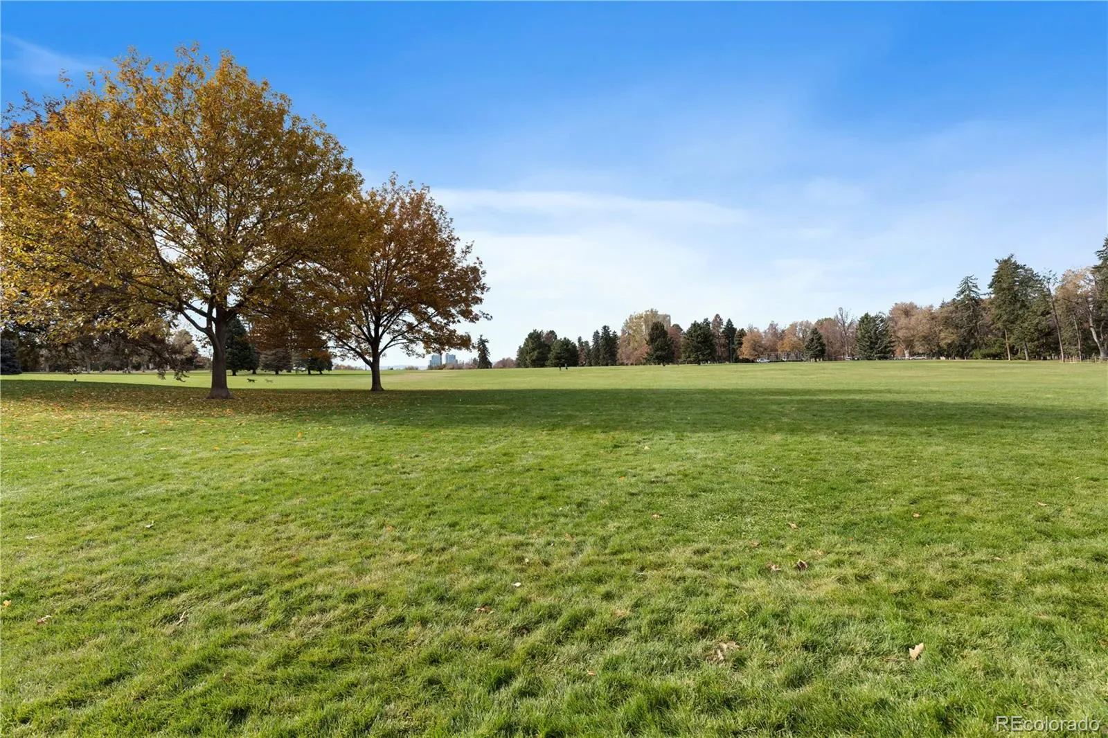 03272026040226 1600 19