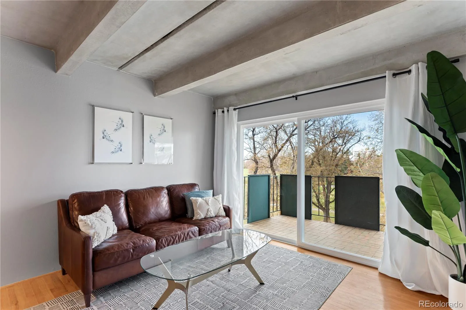 1265 N Race Street #505 Denver CO 80206 MLS #REC8435836 06122026202105 1600 4