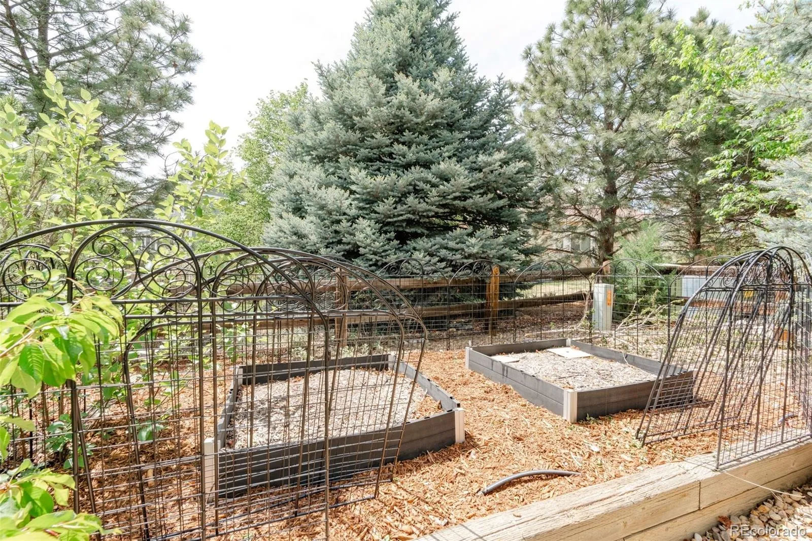 6493 S Sedalia Street Aurora CO 80016 MLS #REC8442780 05182026225645 1600 36