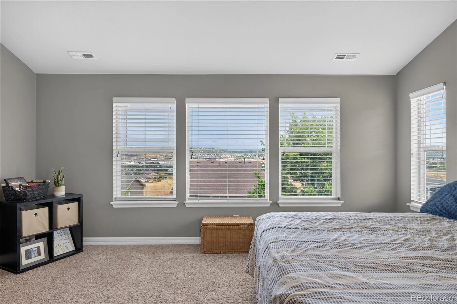 2318 Fairway Wood Circle Castle Rock CO 80109 | MLS #REC8451238 08182026234754 1600 24