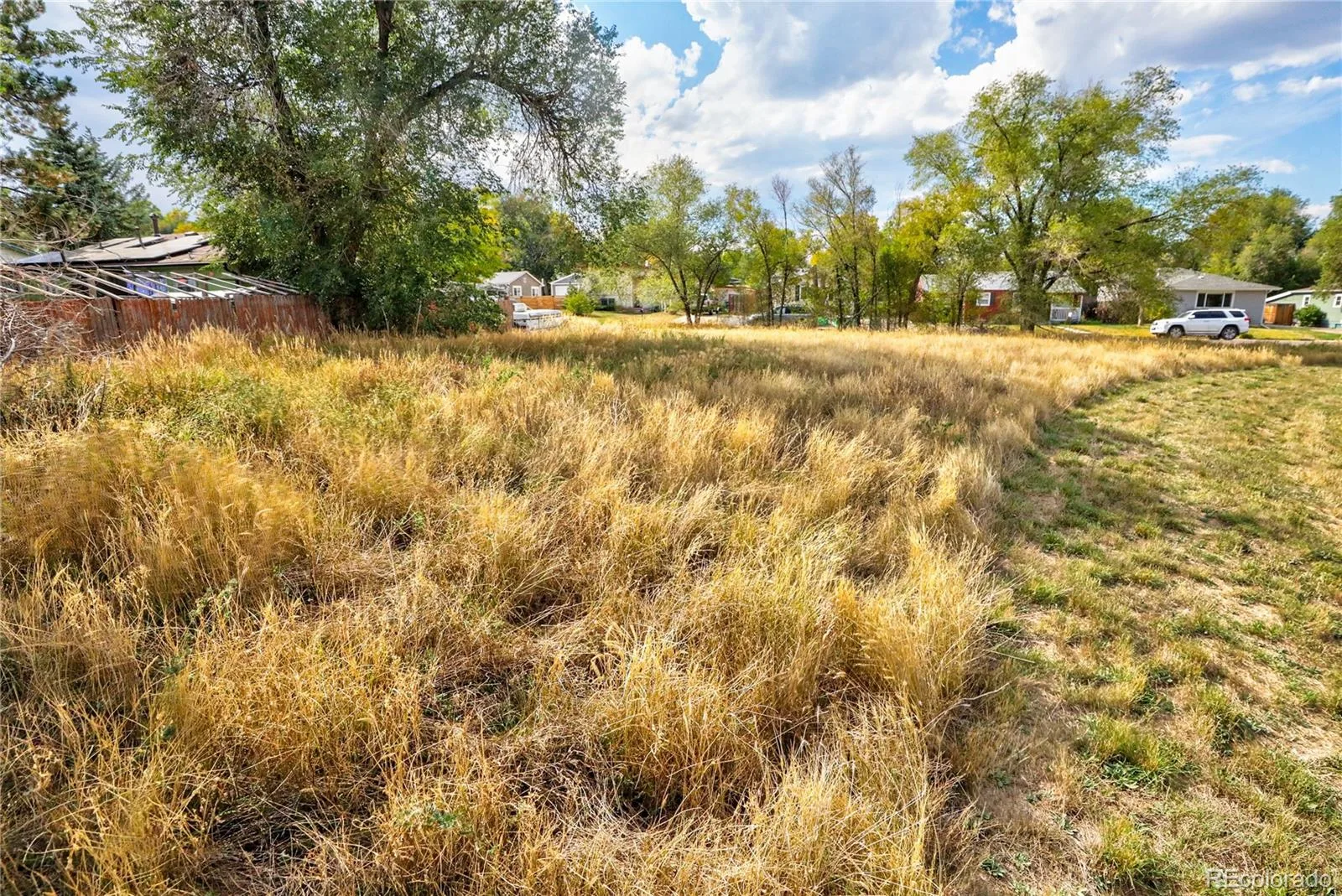 1836 Ingalls Street Lakewood CO 80214 | MLS #REC8454146 07022026161103 1600 5