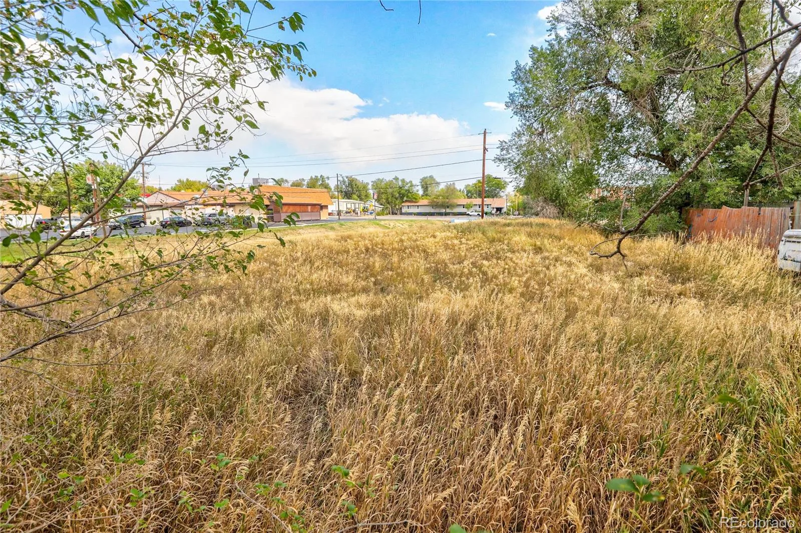1836 Ingalls Street Lakewood CO 80214 | MLS #REC8454146 07022026161103 1600 6