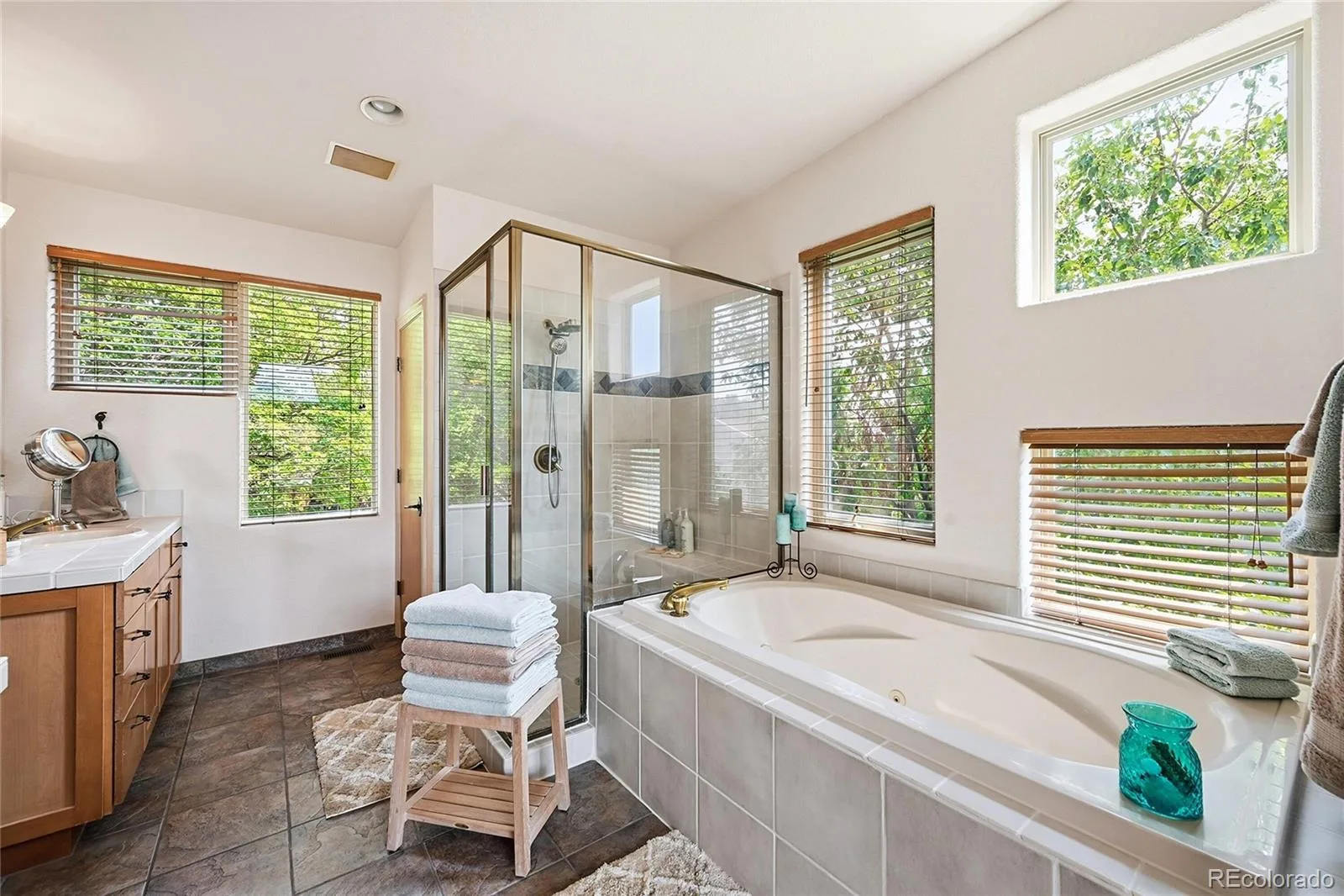 10606 Brown Fox Trail Littleton CO 80125 | MLS #REC8454167 08092026162351 1600 19