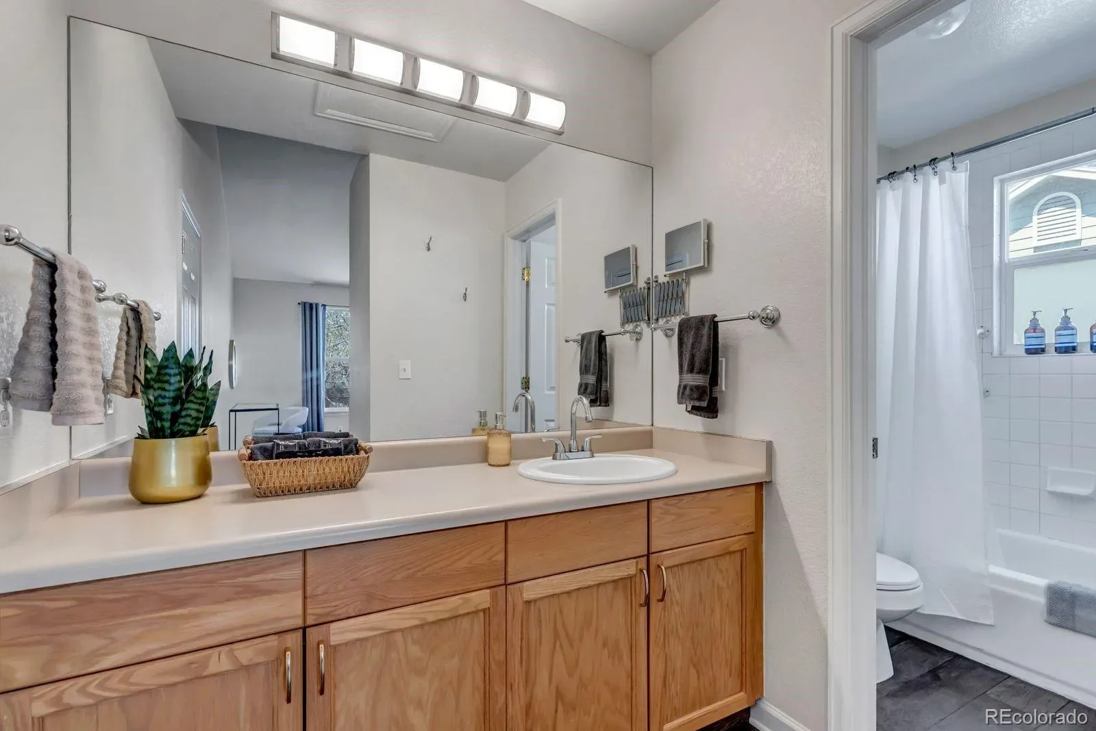 6428 Newcombe Street #A Arvada CO 80004 MLS #REC8455809 03112026215833 1600 18