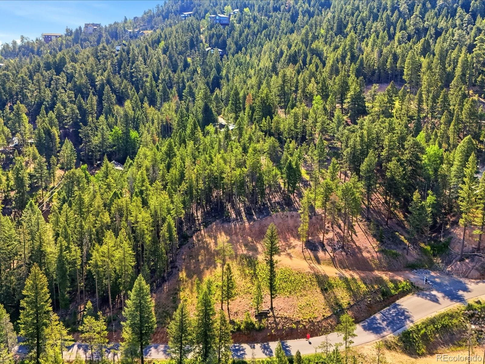 6824 Lynx Lair Road Evergreen CO 80439 | MLS #REC8461977 06242026235441 1600 1