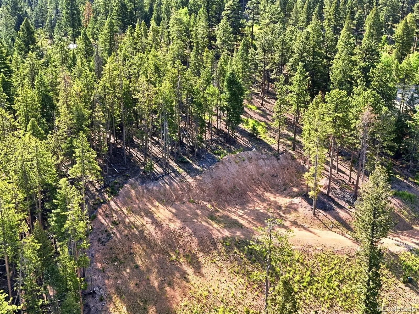 6824 Lynx Lair Road Evergreen CO 80439 | MLS #REC8461977 06242026235441 1600 2