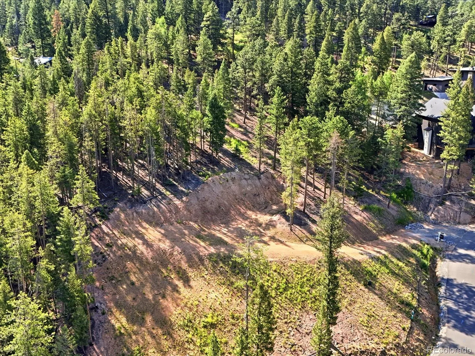 6824 Lynx Lair Road Evergreen CO 80439 | MLS #REC8461977 06242026235441 1600 3
