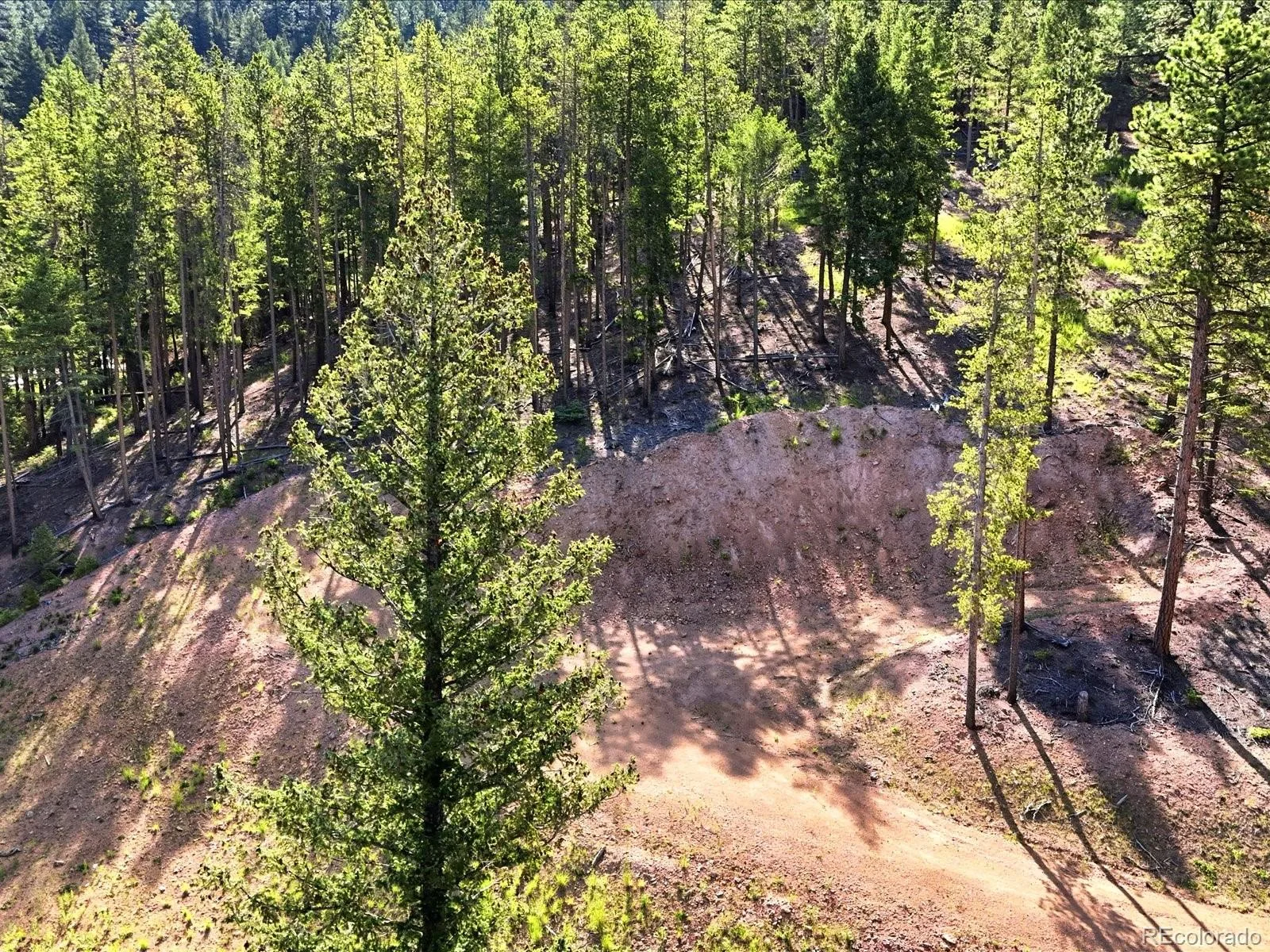 6824 Lynx Lair Road Evergreen CO 80439 | MLS #REC8461977 06242026235441 1600 4